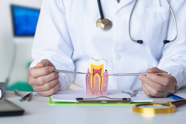 Best Weekend Emergency Dentist in Elizabethtown, NC